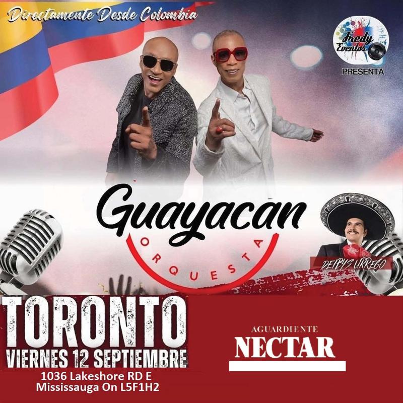 Guayacan toronto